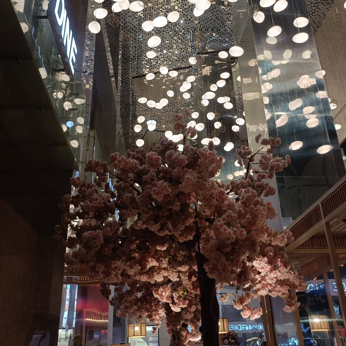 heavenitte's tweet photo. 🎏 https://t.co/ztROcxzy3y