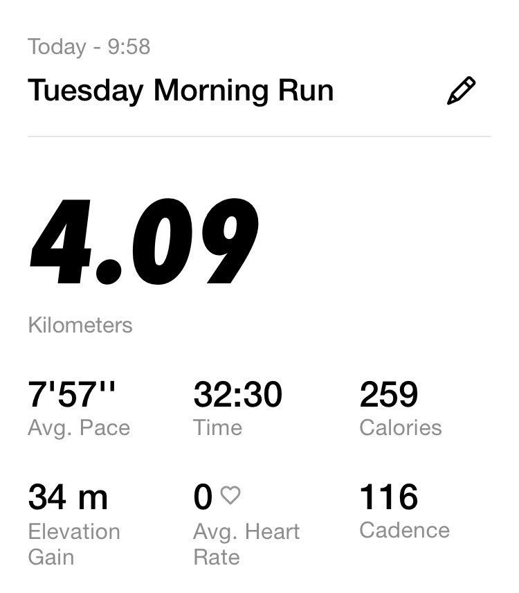 Bridget🐈 a.k.a ヒルトン花子 tweet media