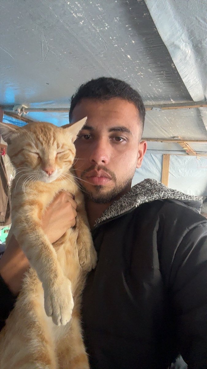 Mo7mmd30's tweet photo. I’m still alive with my cats.🇵🇸 https://t.co/Kx1QlRxX73