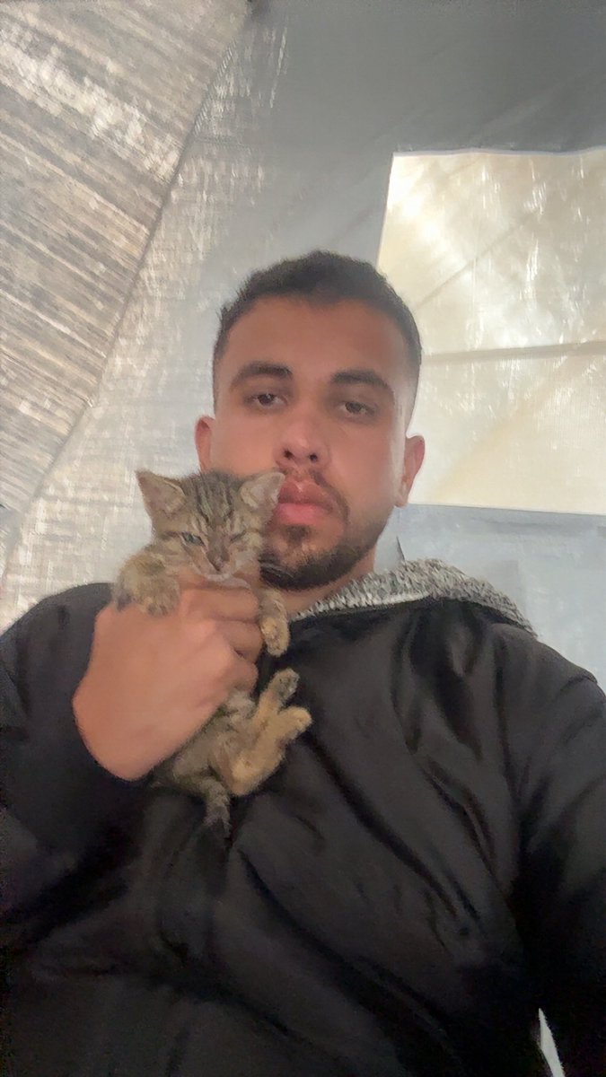 Mo7mmd30's tweet photo. I’m still alive with my cats.🇵🇸 https://t.co/Kx1QlRxX73