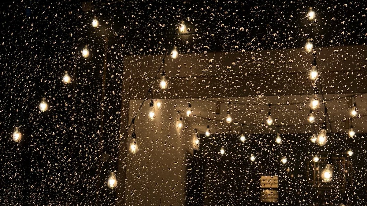 شيخـة🌼 tweet media