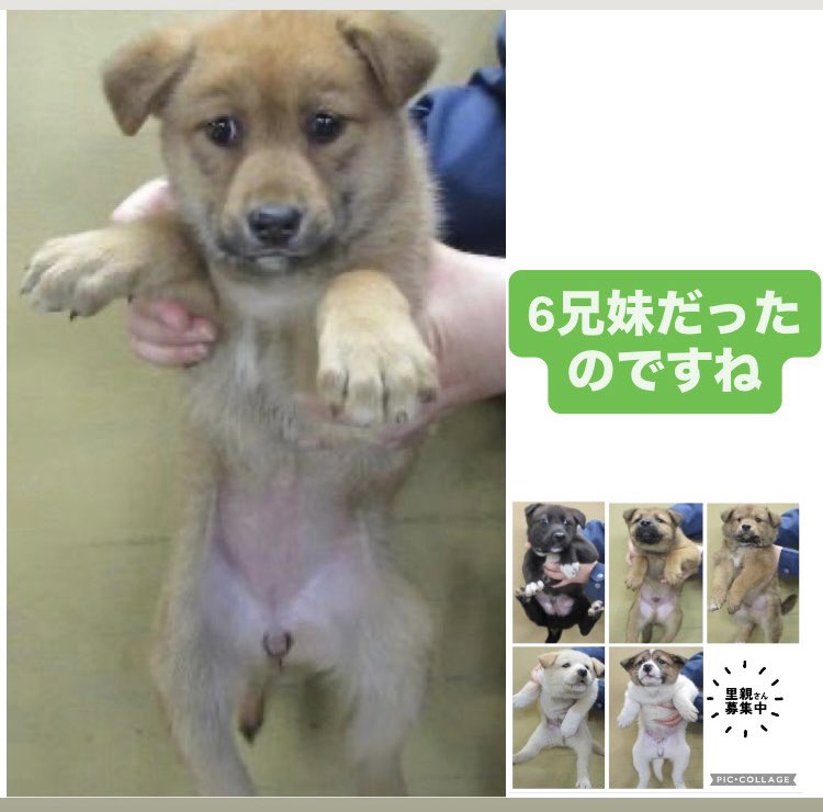 No more culling! tweet media