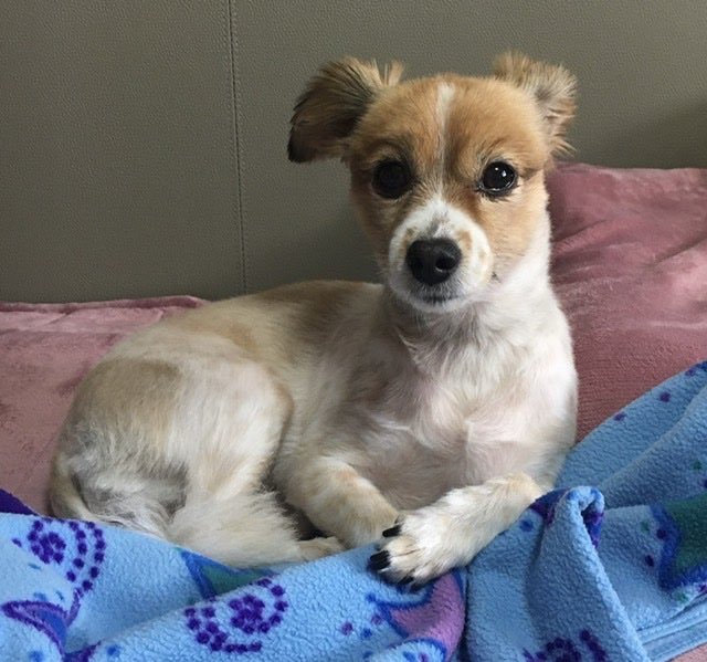 비키언니 tweet media