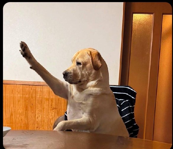 MR PLANS 🖊️✊🏿 tweet media