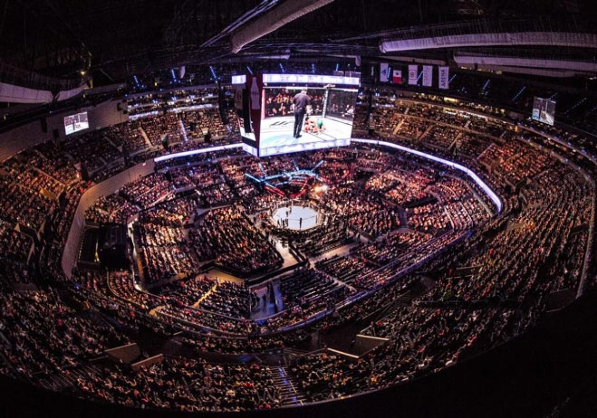 샐마•𝗘𝗡╸⁷ tweet media