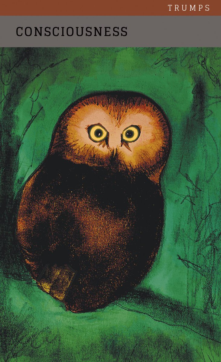 Cosmic Hackers tweet media