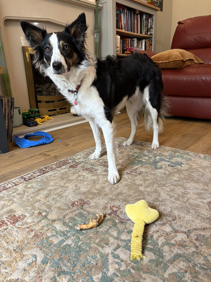 Puppy Bess and Auntie Kes tweet media