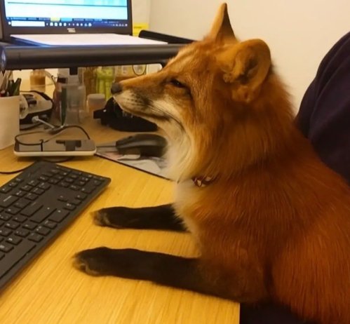 Ever since I read that article on how the excessive usage of AI leads to cognitive decline I try not to abuse it at work.