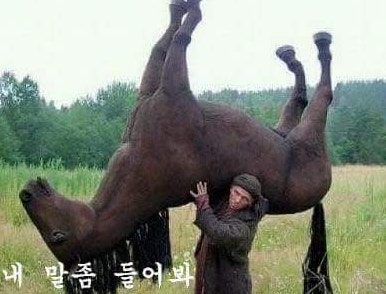 김캇피 tweet media