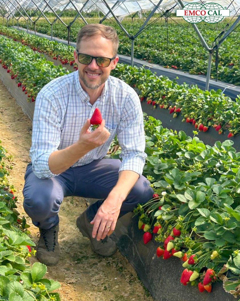 EMCO CAL tweet media