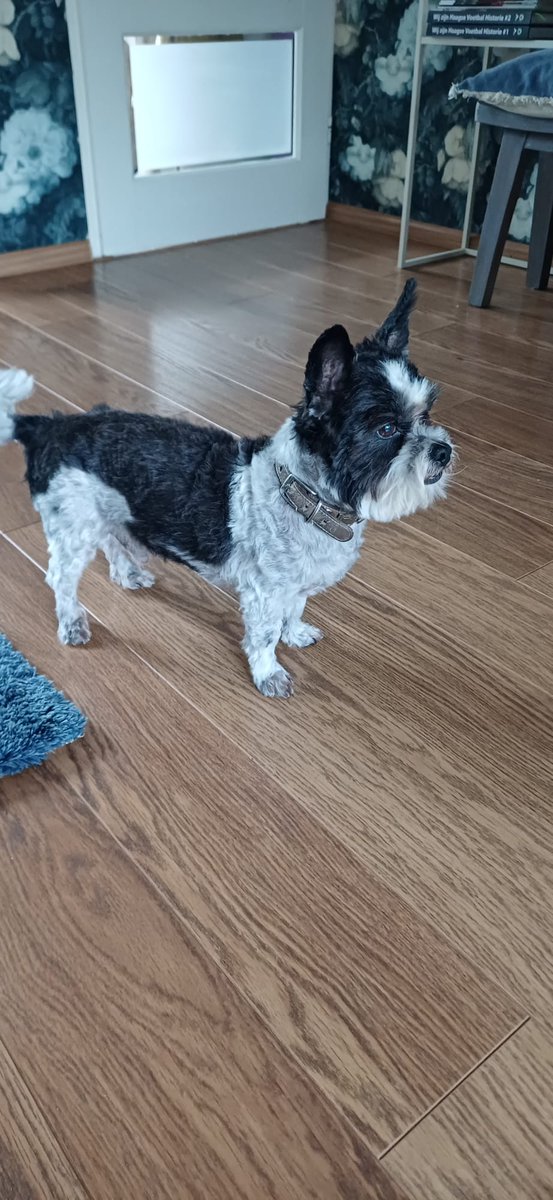 Barry 💛💚 tweet media