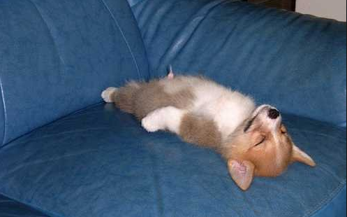 트친깅들아
나는 인제 자러 간다
꿈나라에서 보자꾸나
빠이티비