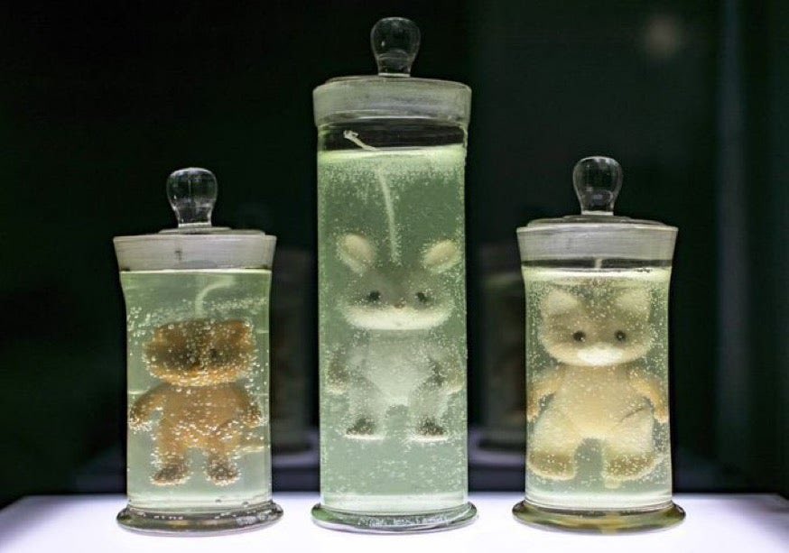 산광쥐밥 tweet media