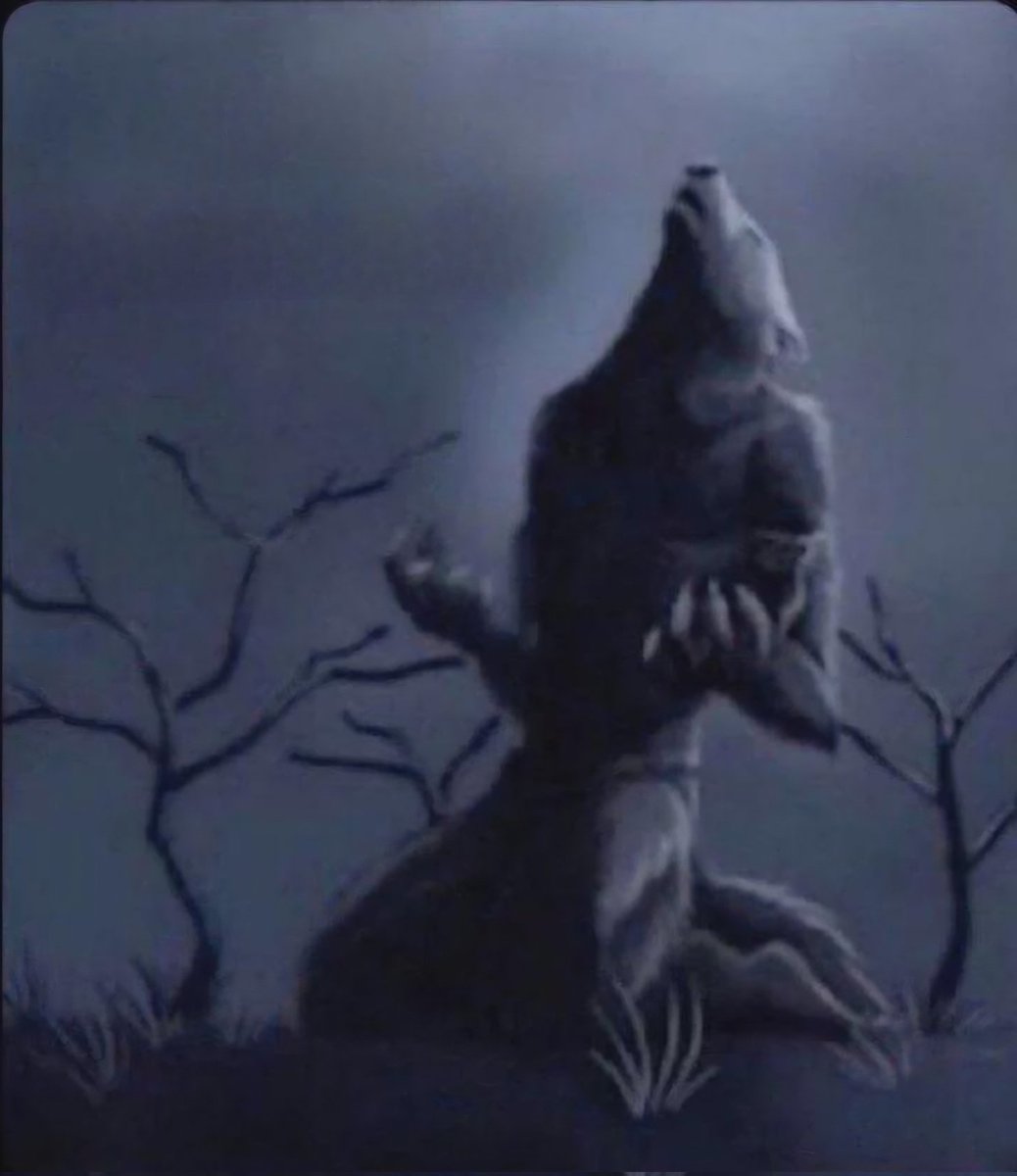 ~Firelequin~ tweet media