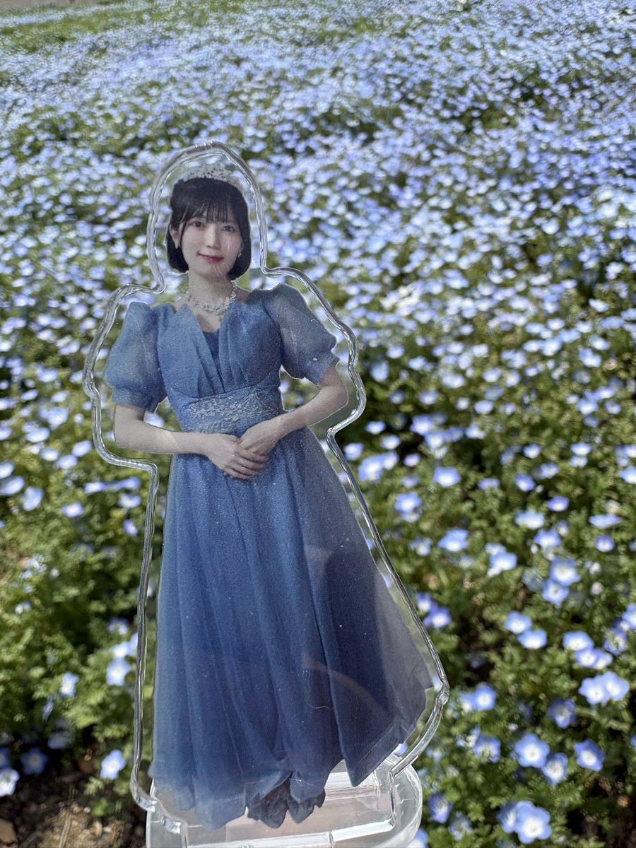 ゆか❄️🏰 tweet media