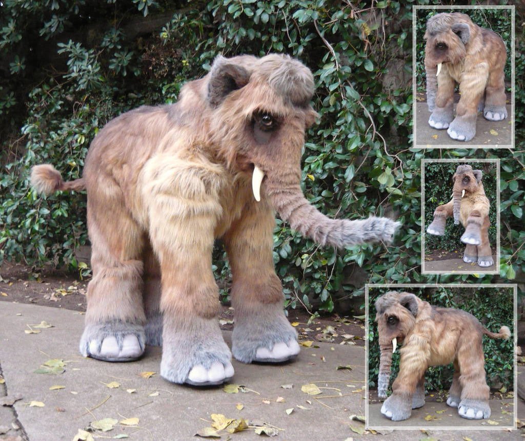 🦄 Aster & Ramsey 🐦‍⬛🌱 tweet media