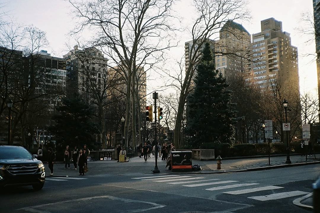 xx - cactouse tweet media