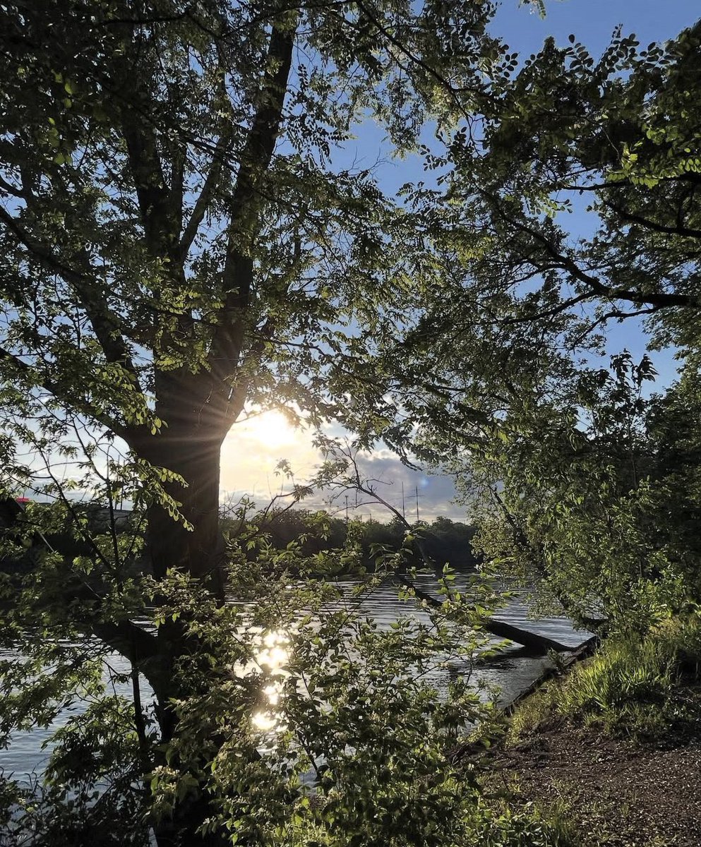 xx - cactouse tweet media