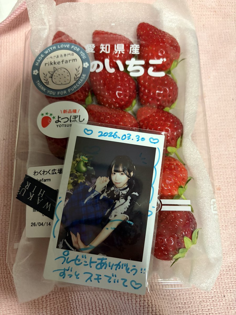 レッドパール(ともき) tweet media