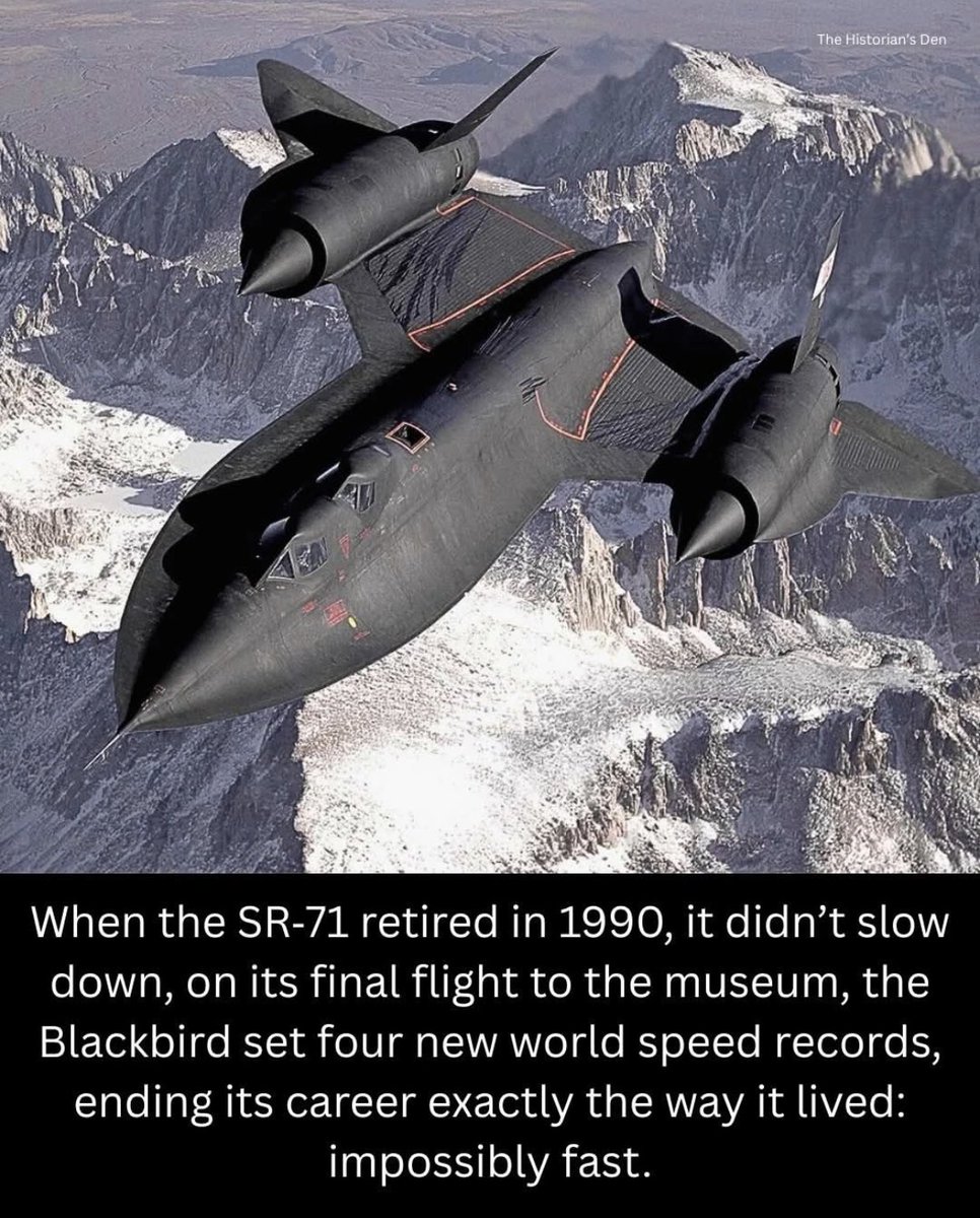 Blackbird (@blackbird66661) on Twitter photo 