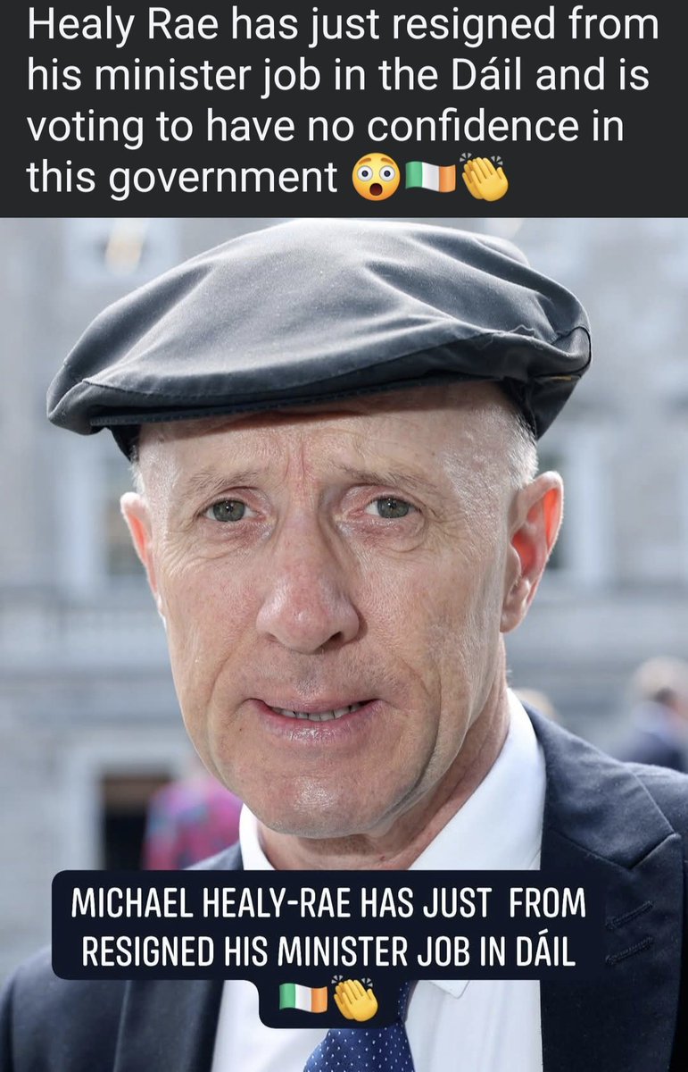 declancarroll62's tweet photo. Ireland ✨️ 🇮🇪  - the slithery sleveen resigned. An odious "run with hare &amp; hunt with the hounds" political cunt. https://t.co/p2l16ukiV7