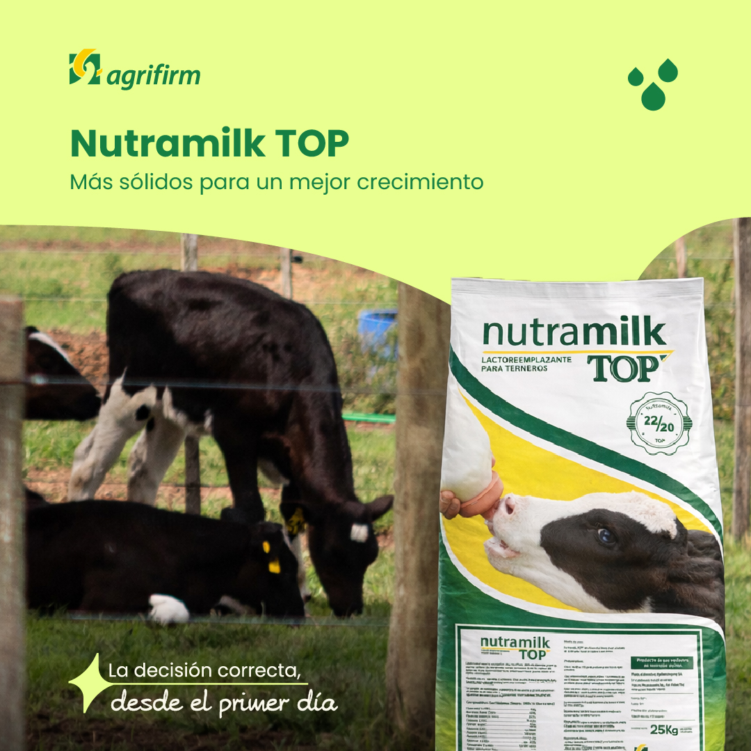 agrifirmuy's tweet photo. 🐄 #Nutramilk #TOP
Más sólidos para un mejor crecimiento.
Con 22% de proteína y 20% de grasa, está recomendado para sistemas que buscan potenciar el crecimiento de los #terneros con mayor aporte de sólidos por litro.
La nutrición no puede quedar librada al azar
#Agrifirmuy #Cría https://t.co/ZlL5LZvdru