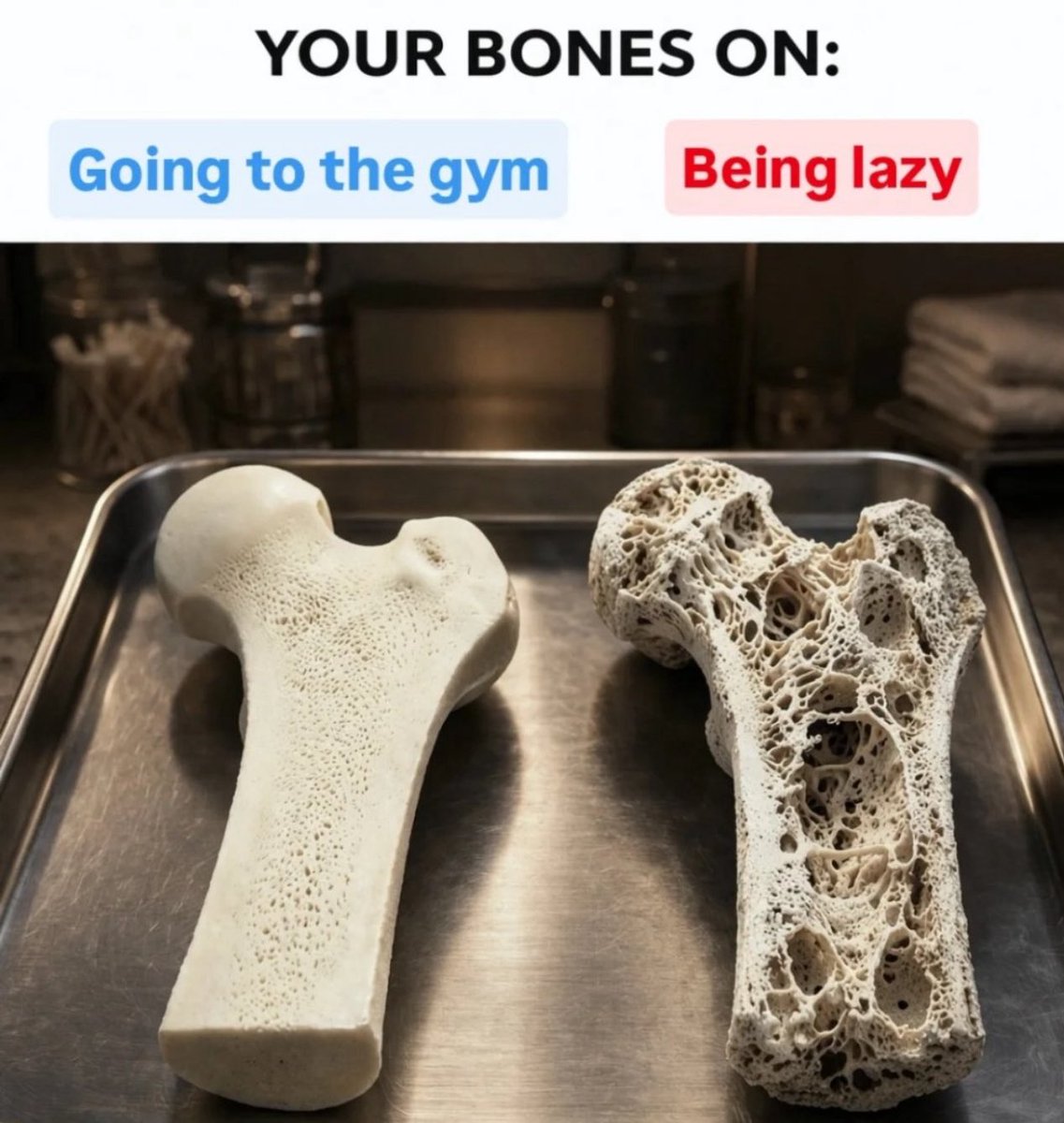 Strengthen your body doing this ✅

Heart likes when u breathe deeply 
Brain when u 🧘🏻‍♀️ meditate
Kidneys when you jump
Liver when u walk
Intestines when u twist your body
Lungs when u 🤣 LOL
Bones like to soak up the ☀️
👀 get stronger when u look far
Hair when u Brush it