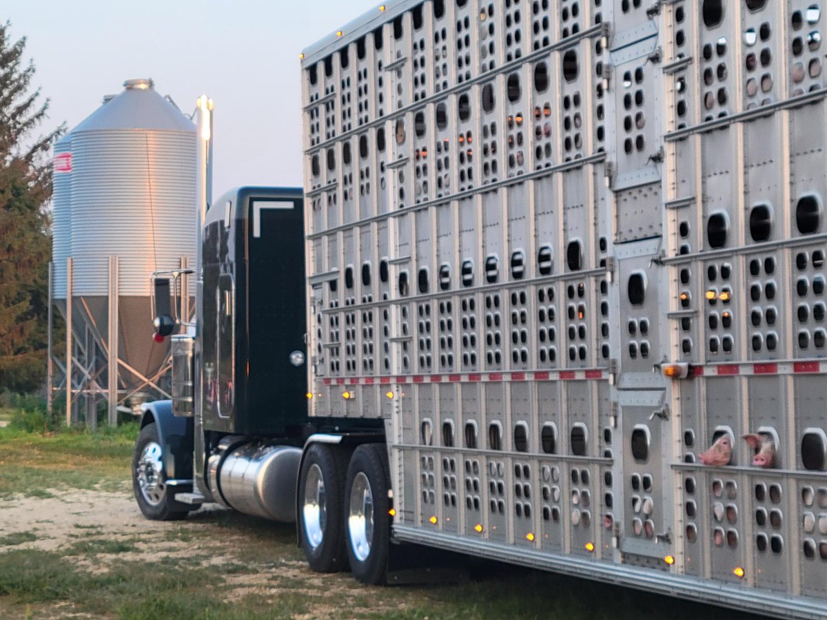 Farm Health Guardian tweet media