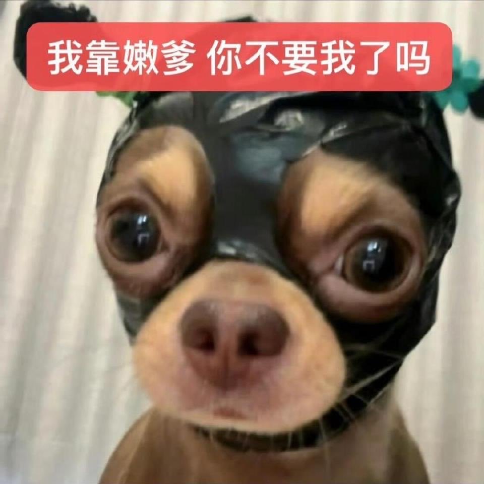 DDDx0002's tweet photo. 好久没刷推...上了发现椰云拿铁也销号了，喜欢的博主也分手了 爱看的文字推也不更了 https://t.co/CmEthGcNky