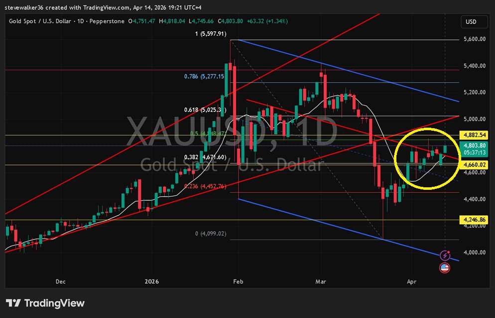 Steve Walker 🌈⏳ tweet media