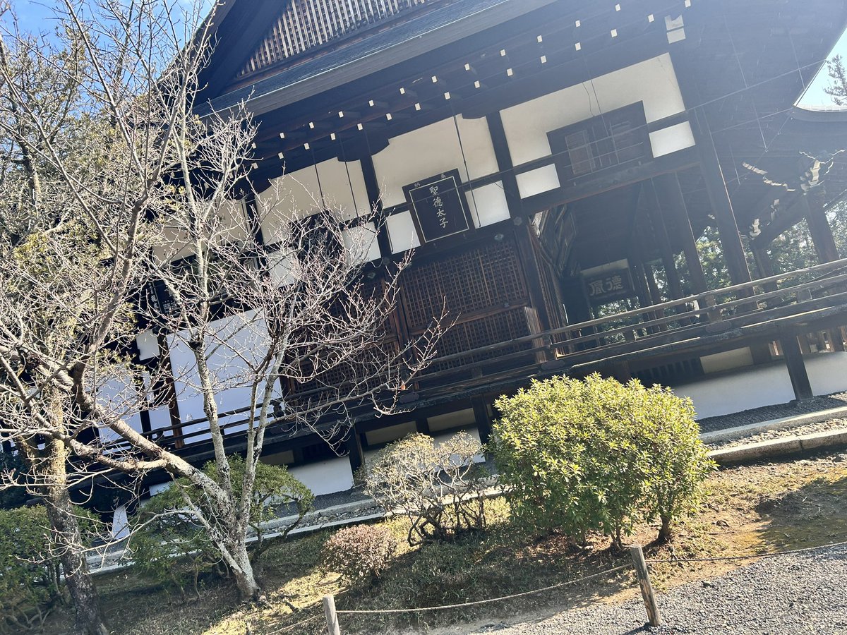 咲希@春例チルパス tweet media