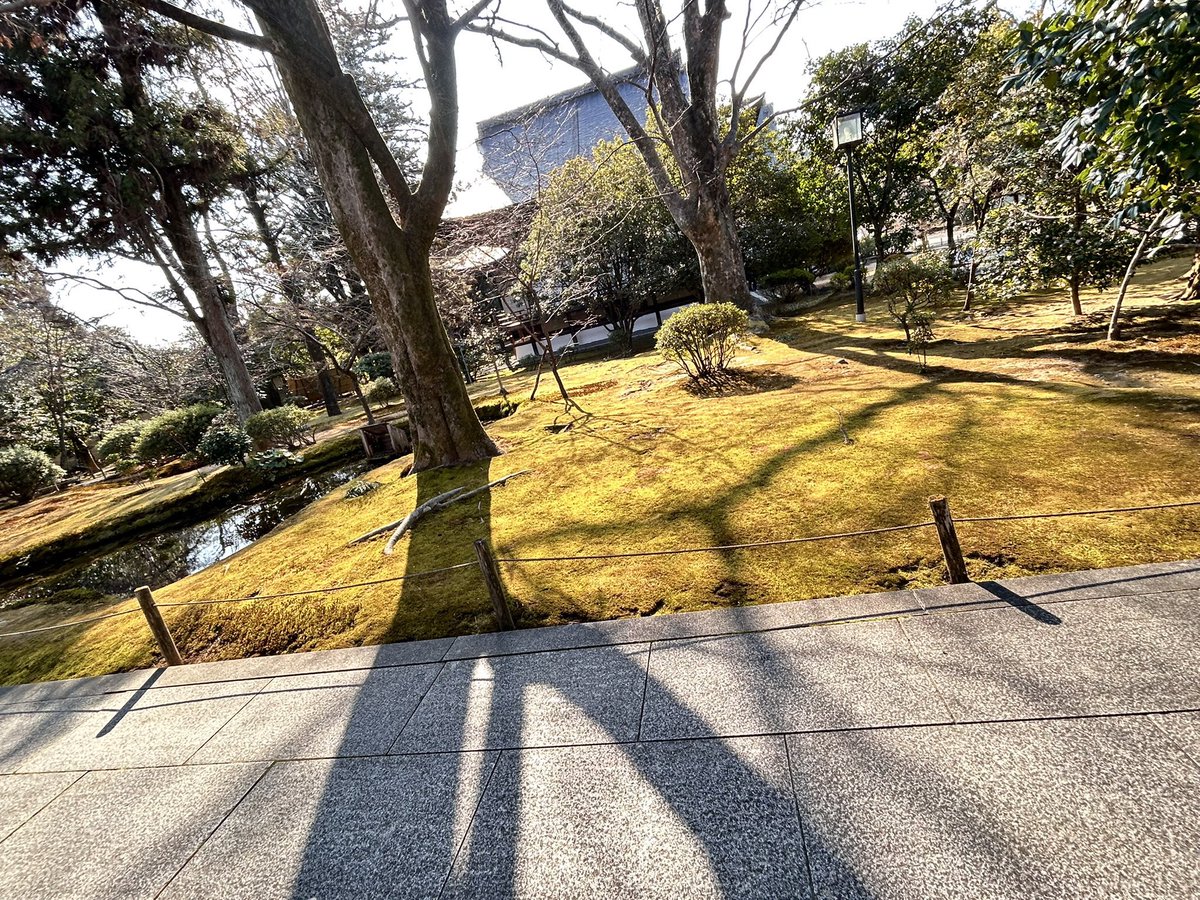 咲希@春例チルパス tweet media