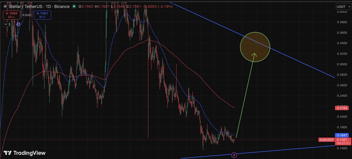 333blacksea's tweet image. #Stellar ($XLM) is a sleeping giant that's about to wake up🔥

- EURAU euro stablecoin just launched on the network

- $843M+ in tokenized U.S. Treasuries

- Yardstick upgrade testnet drops in 2 days  Payments + RWAs loading up fast.  

Do you think $XLM is going to be one of the
