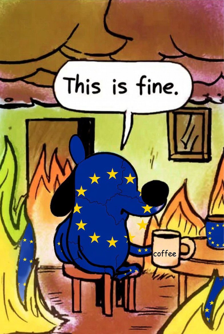 Mike Benz tweet media