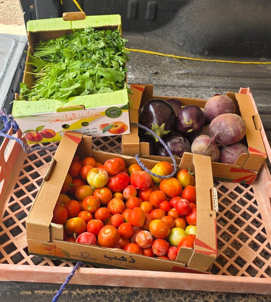 علي بن سيف العبري tweet media