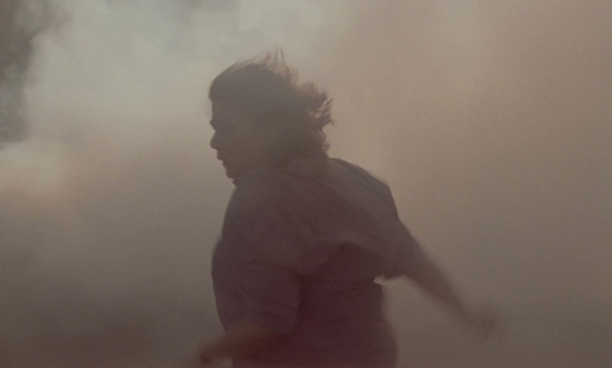 hammertonail's tweet photo. The Cannes Film Festival has announced the lineup for its 58th Directors' Fortnight, featuring numerous features and shorts from breakout and innovative voices in cinema today. Check out the full list: https://t.co/cRzhLE2Mra https://t.co/6DaXRdNLxO