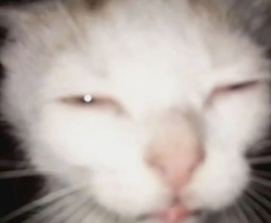 Vixin ♡ tweet media