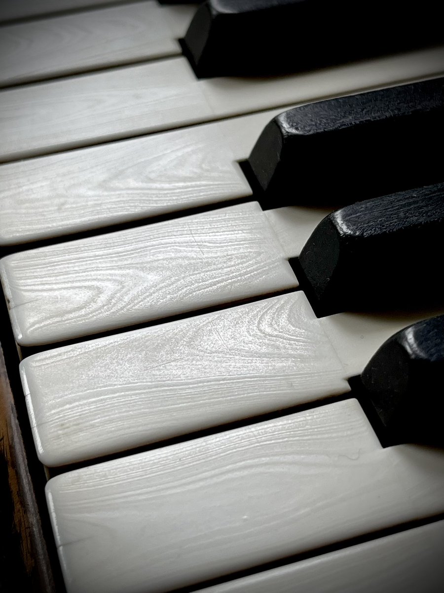 evanaustinauthr's tweet image. #dyk that ivory has a grain like wood does?