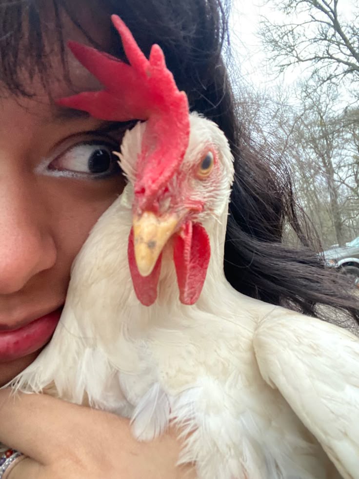 𝐀𝘮𝘺 !💛 / con limit,de nuevo tweet media