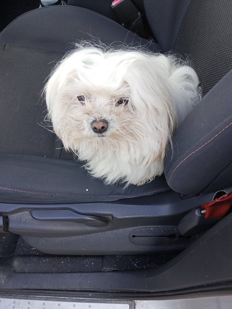 Bécquer🇪🇸✒🔡 tweet media