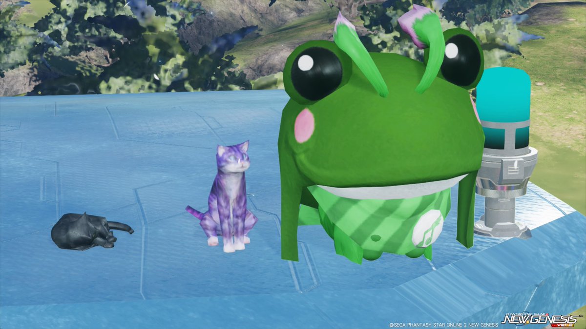 せっかくなのでシティのネコ🐱ちゃん達と並んでみましたケロッ🐸⸝⸝꙳✨
 #PSO2NGS_SS
 #メンテの日なのでSSを貼る