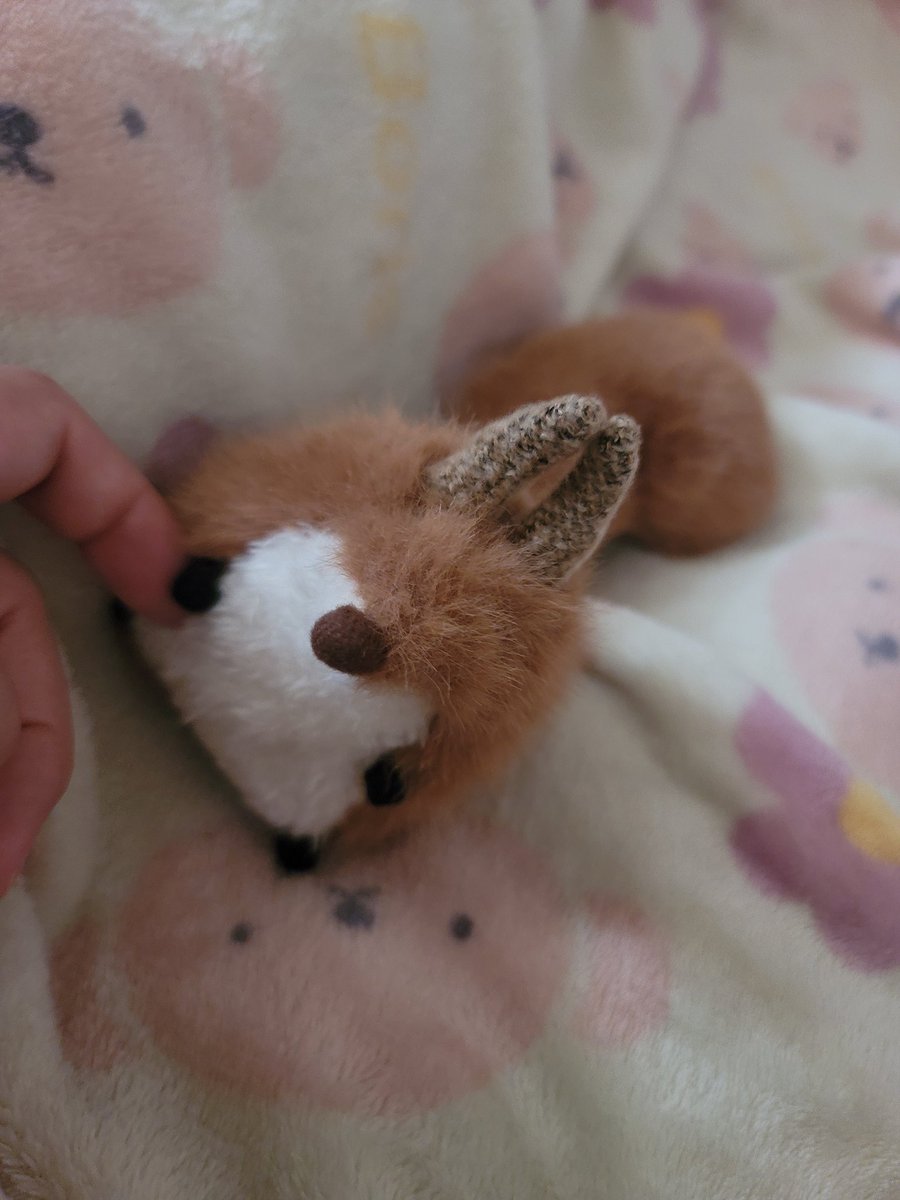 るぅたん tweet media