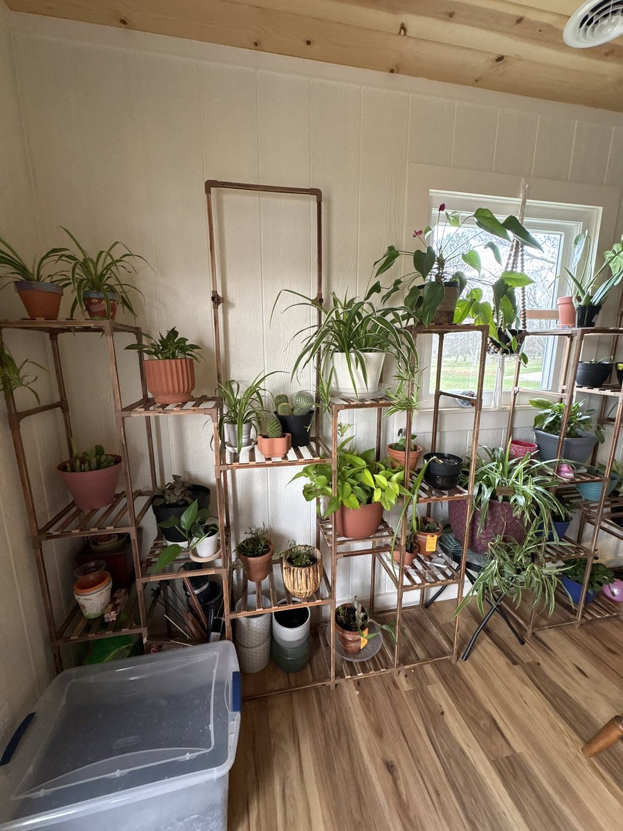 DidalotM's tweet photo. What better way to celebrate my birthday than National Gardening Day? 🥳🪴💚 https://t.co/Jf1acRMN19