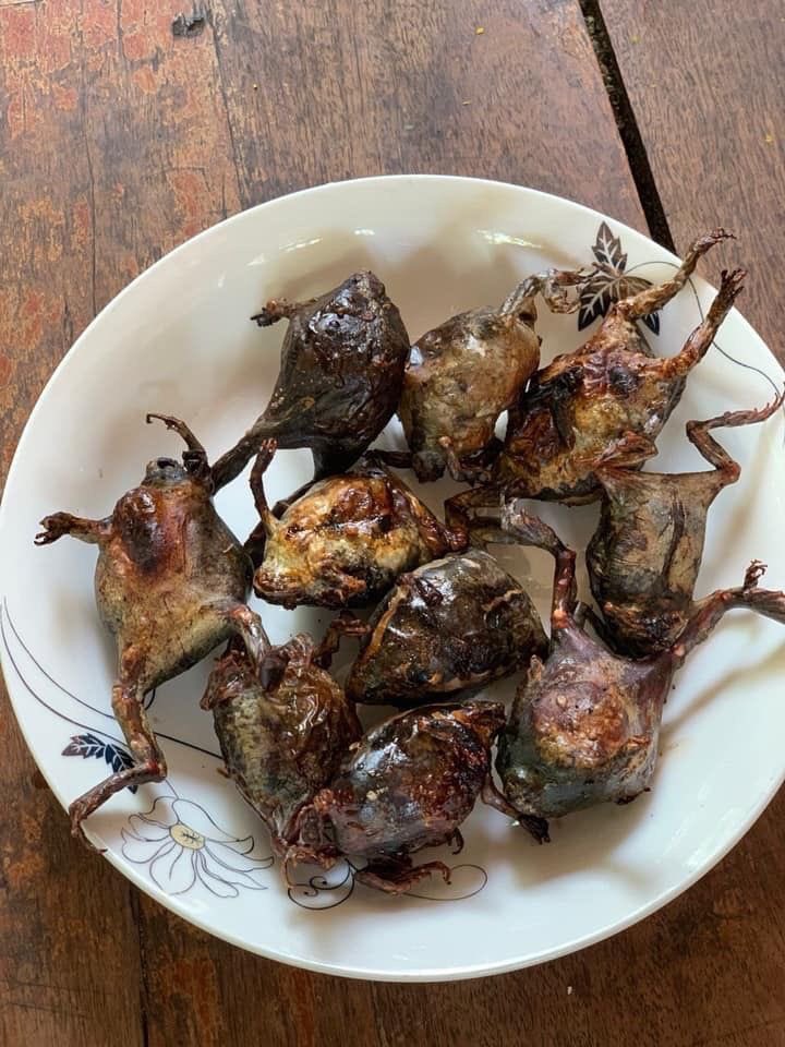 DOLLAR BOSS tweet media