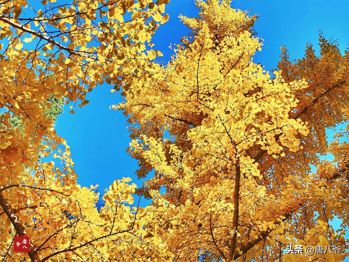 Debbie Plath tweet media