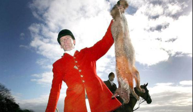 banbloodsports's tweet image. Sign and share Uplift’s “Ban Fox Hunting” petition
my.uplift.ie/petitions/peti… #Ireland #BanFoxHunting