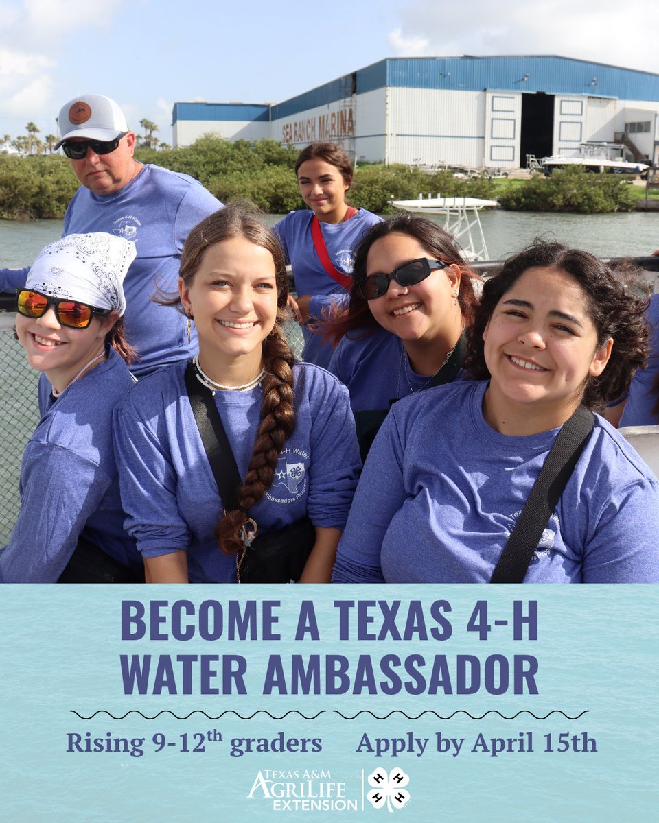 Texas 4-H tweet media