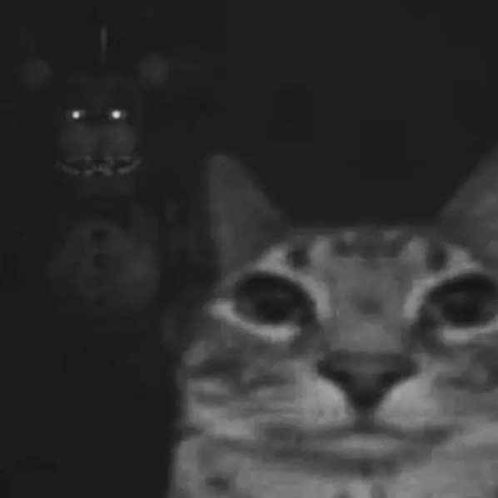 ChanXaki's tweet image. Just send a job application