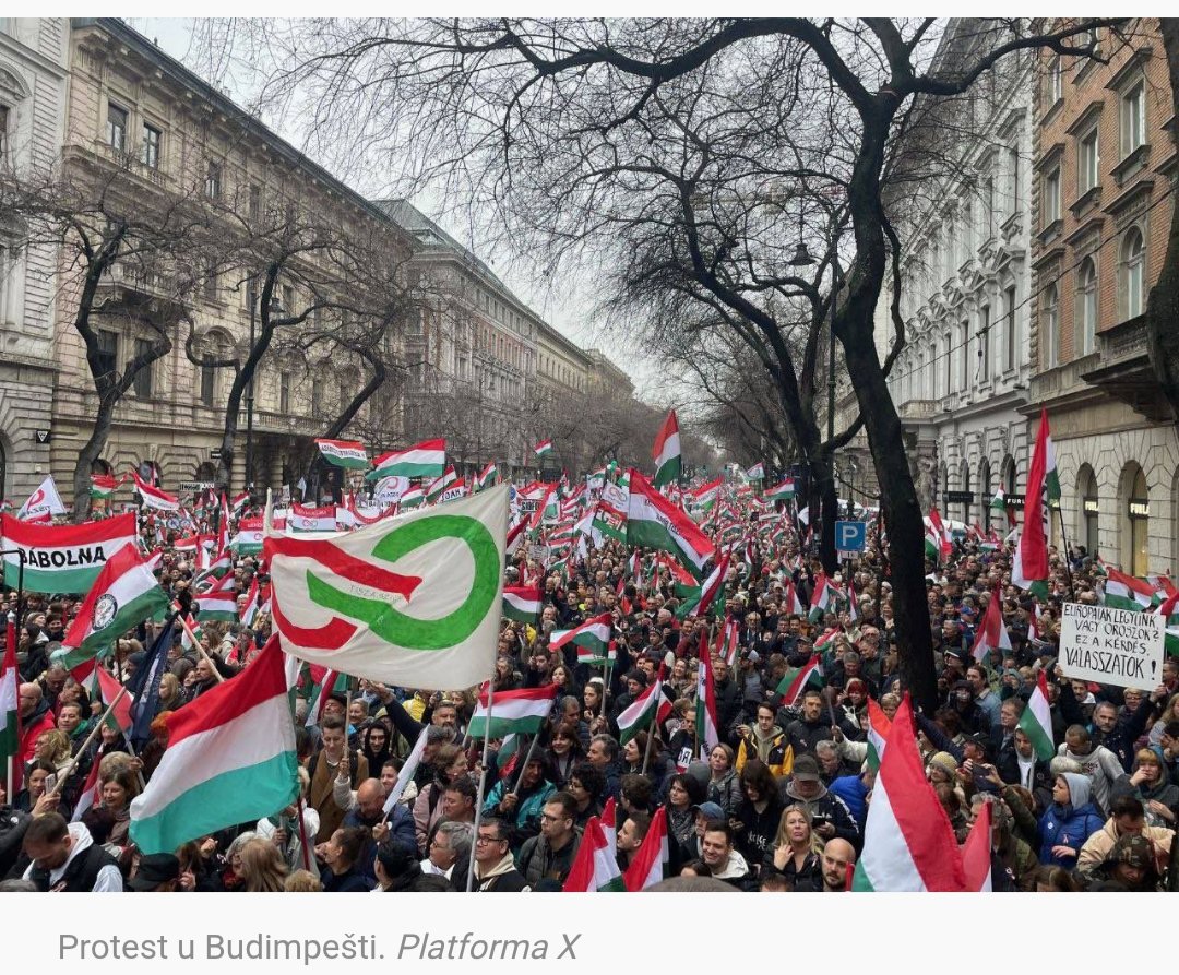 Fortuneteller tweet media