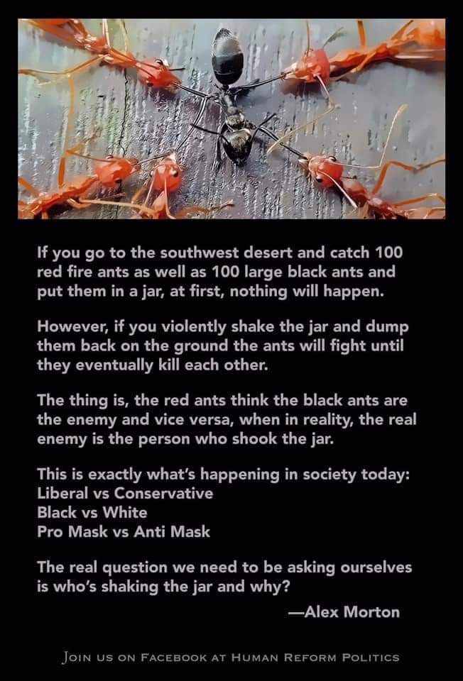 Christian S. 🇨🇦 tweet media